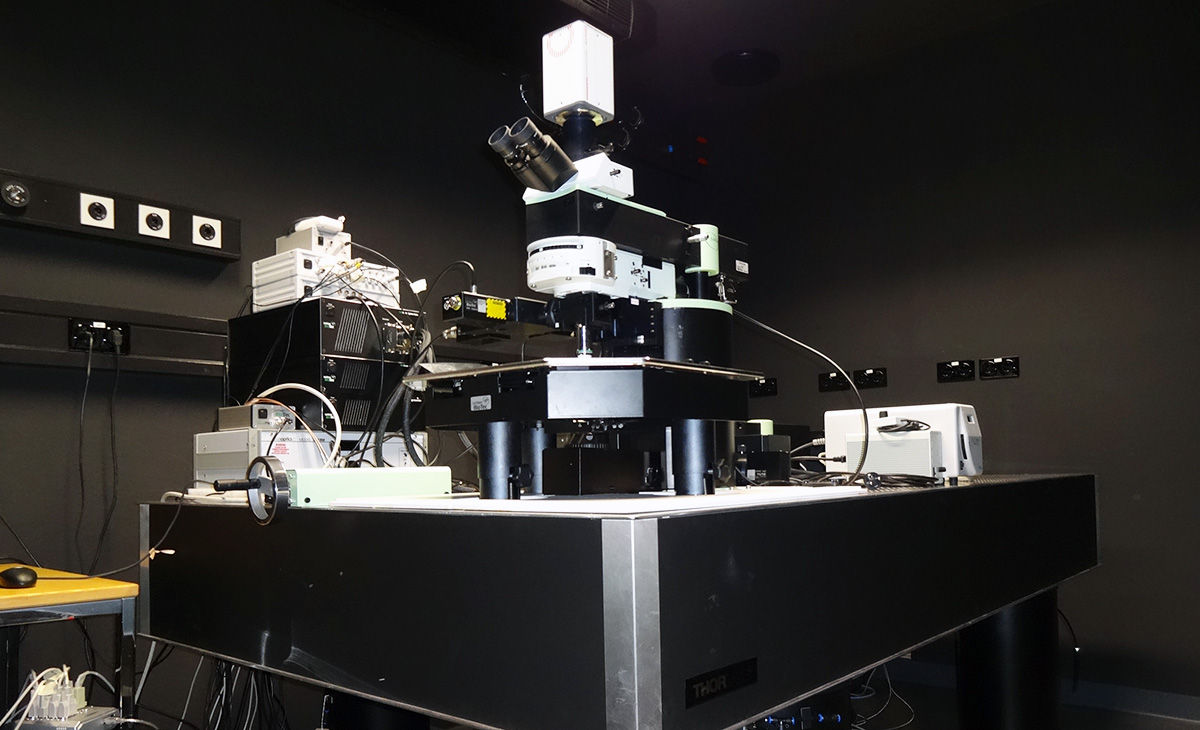 Umbau und Sanierung Labor- und Tierhaltung Walter-Brendel-Zentrum der LMU München